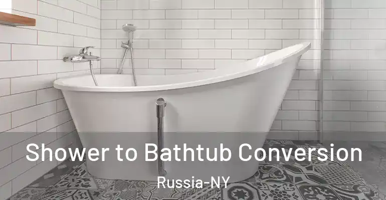 inner Bathroom imggen Shower to Bathtub Conversion Russia-NY