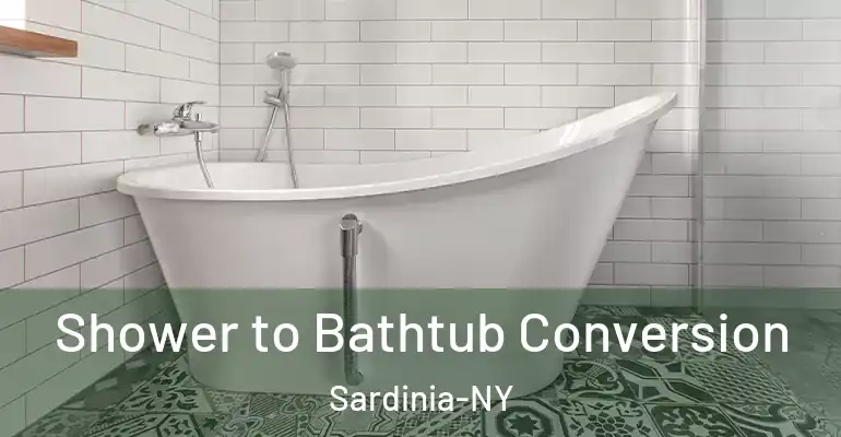 inner Bathroom imggen Shower to Bathtub Conversion Sardinia-NY