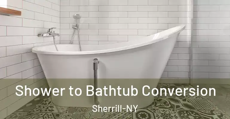 inner Bathroom imggen Shower to Bathtub Conversion Sherrill-NY