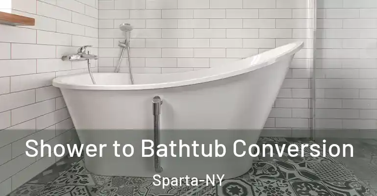 inner Bathroom imggen Shower to Bathtub Conversion Sparta-NY