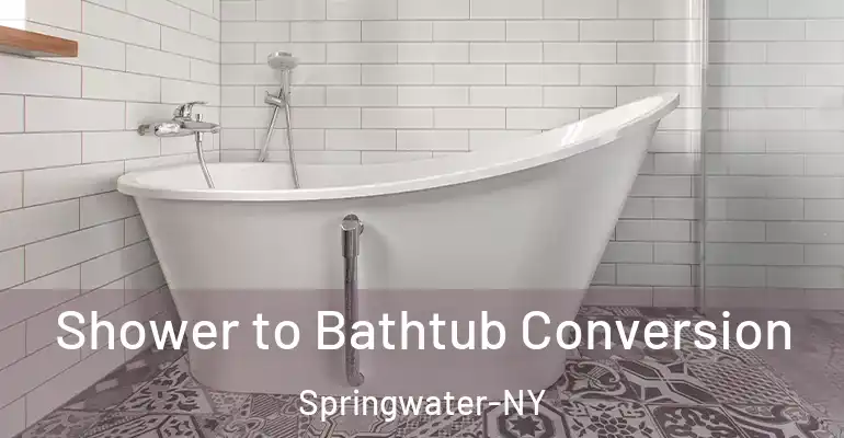inner Bathroom imggen Shower to Bathtub Conversion Springwater-NY