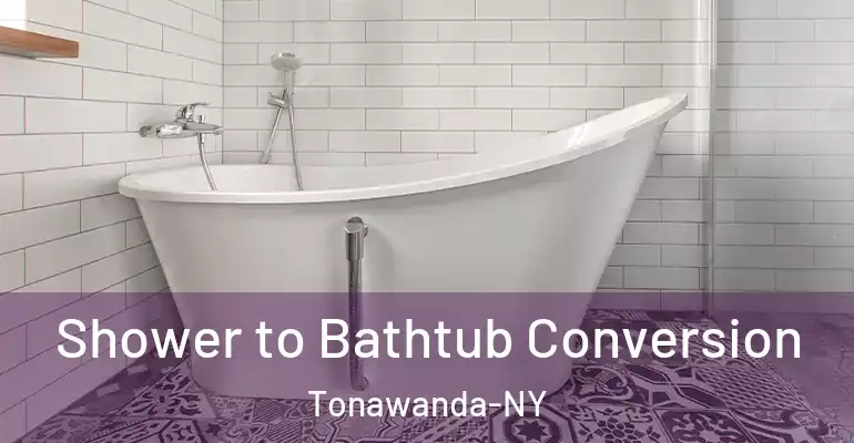 inner Bathroom imggen Shower to Bathtub Conversion Tonawanda-NY