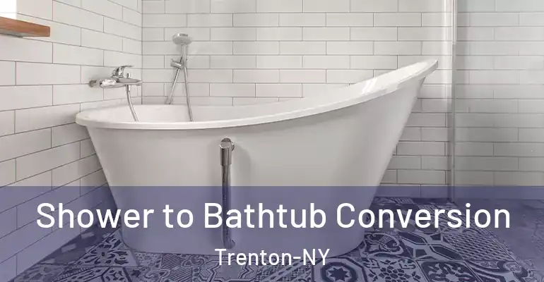 inner Bathroom imggen Shower to Bathtub Conversion Trenton-NY