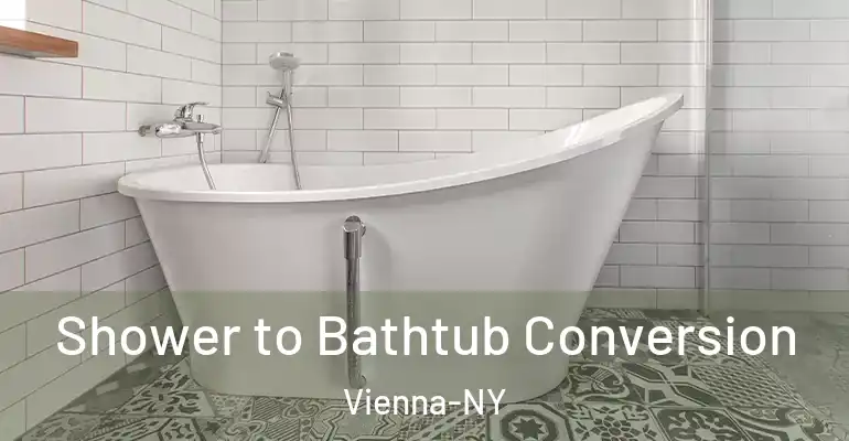 inner Bathroom imggen Shower to Bathtub Conversion Vienna-NY