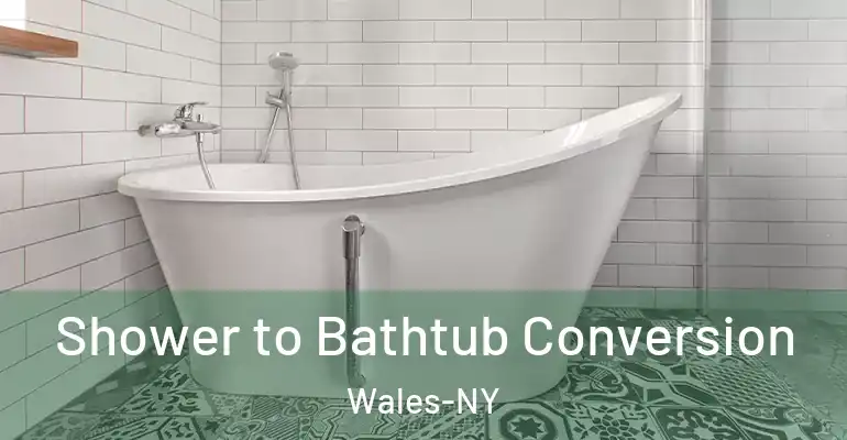 inner Bathroom imggen Shower to Bathtub Conversion Wales-NY