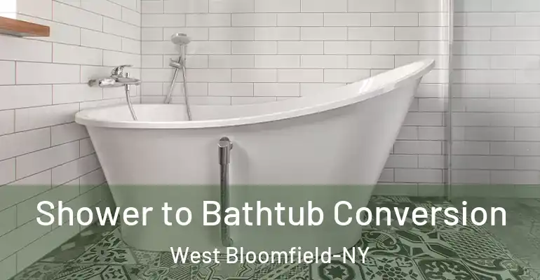 inner Bathroom imggen Shower to Bathtub Conversion West Bloomfield-NY
