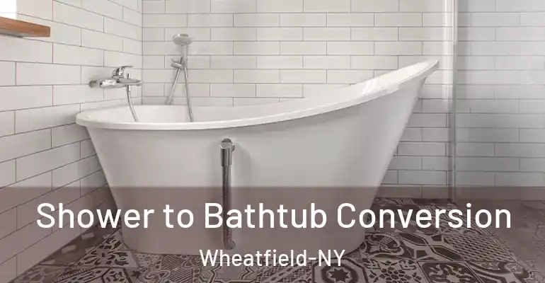 inner Bathroom imggen Shower to Bathtub Conversion Wheatfield-NY