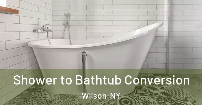 inner Bathroom imggen Shower to Bathtub Conversion Wilson-NY