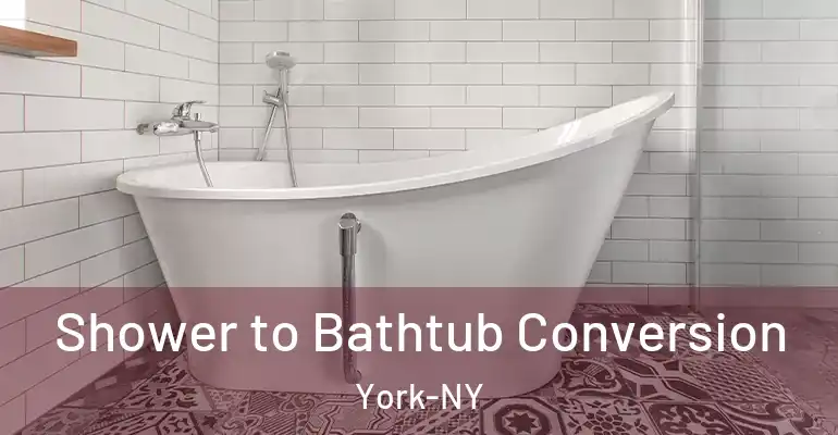 inner Bathroom imggen Shower to Bathtub Conversion York-NY