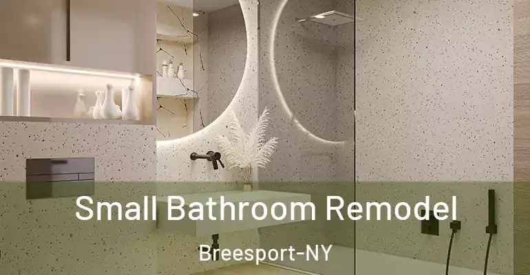 inner Bathroom imggen Small Bathroom Remodel Breesport-NY