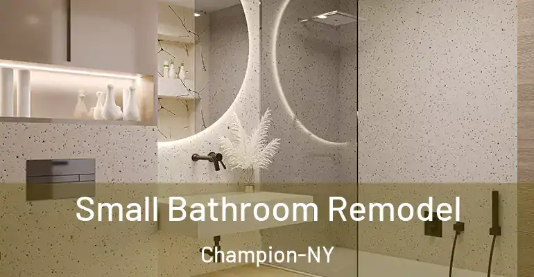 inner Bathroom imggen Small Bathroom Remodel Champion-NY