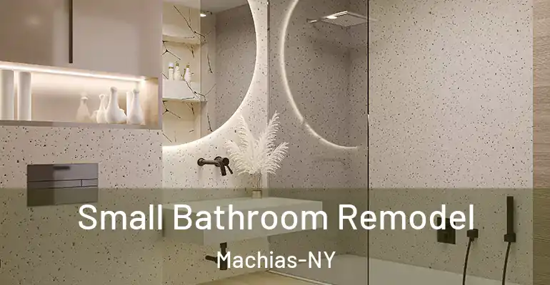 inner Bathroom imggen Small Bathroom Remodel Machias-NY