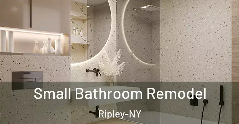 inner Bathroom imggen Small Bathroom Remodel Ripley-NY