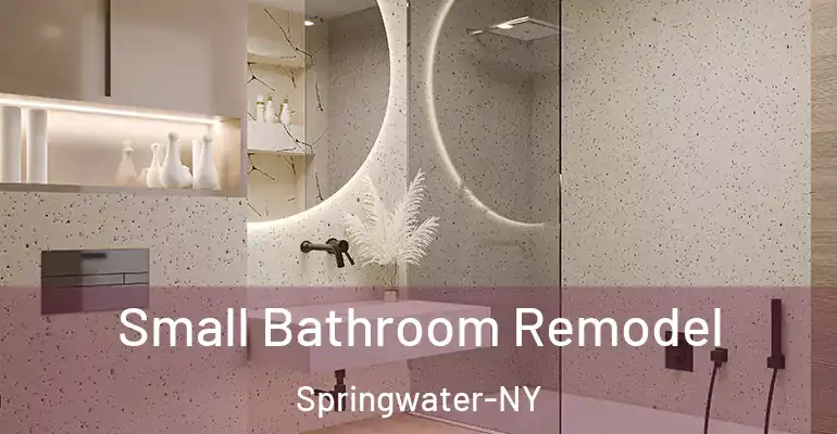 inner Bathroom imggen Small Bathroom Remodel Springwater-NY