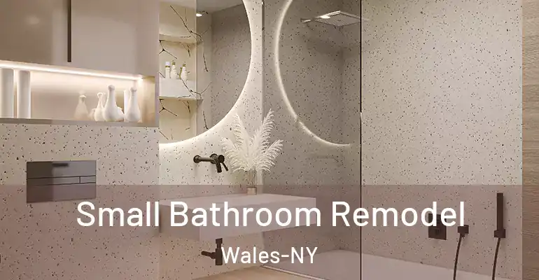 inner Bathroom imggen Small Bathroom Remodel Wales-NY