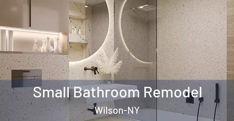 inner Bathroom imggen Small Bathroom Remodel Wilson-NY