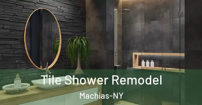 inner Bathroom imggen Tile Shower Remodel Machias-NY
