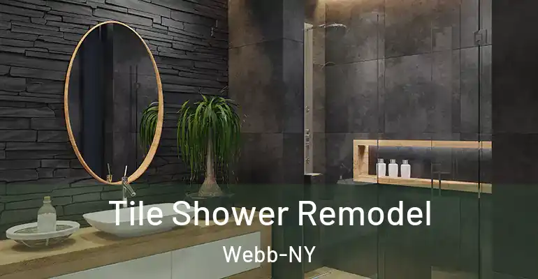 inner Bathroom imggen Tile Shower Remodel Webb-NY