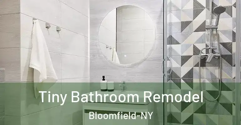 inner Bathroom imggen Tiny Bathroom Remodel Bloomfield-NY