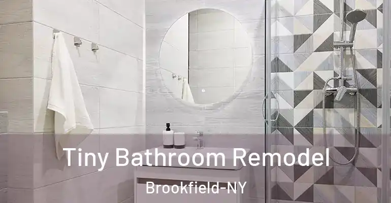 inner Bathroom imggen Tiny Bathroom Remodel Brookfield-NY