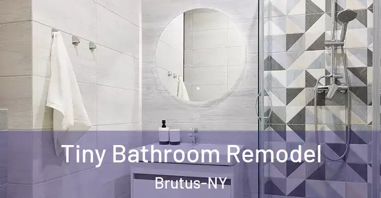 inner Bathroom imggen Tiny Bathroom Remodel Brutus-NY