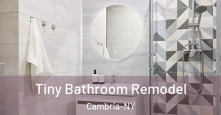 inner Bathroom imggen Tiny Bathroom Remodel Cambria-NY