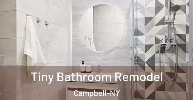 inner Bathroom imggen Tiny Bathroom Remodel Campbell-NY