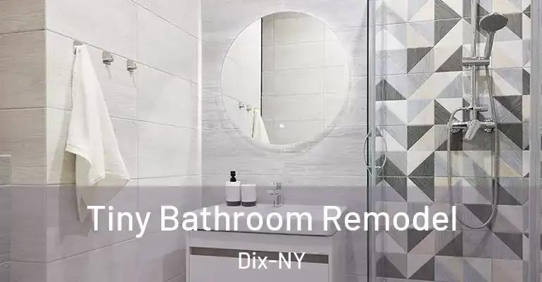 inner Bathroom imggen Tiny Bathroom Remodel Dix-NY