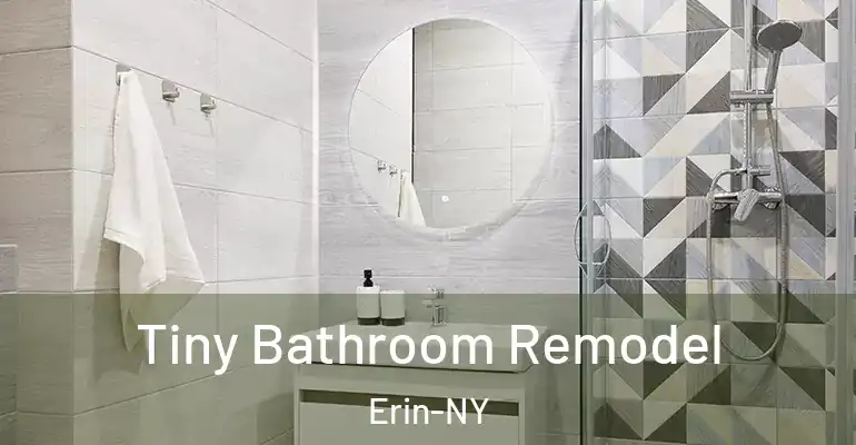 inner Bathroom imggen Tiny Bathroom Remodel Erin-NY