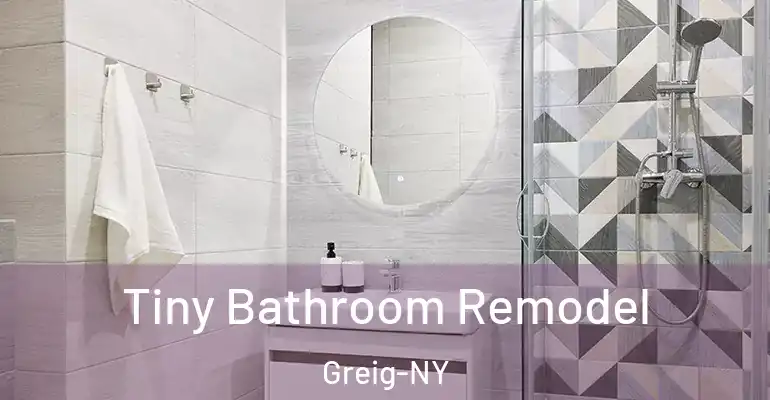 inner Bathroom imggen Tiny Bathroom Remodel Greig-NY