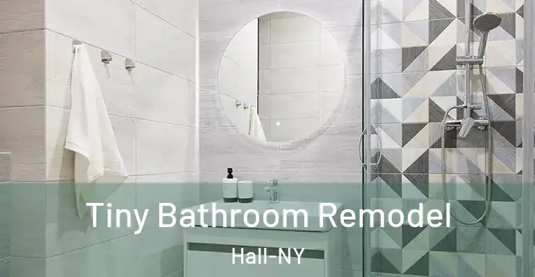 inner Bathroom imggen Tiny Bathroom Remodel Hall-NY