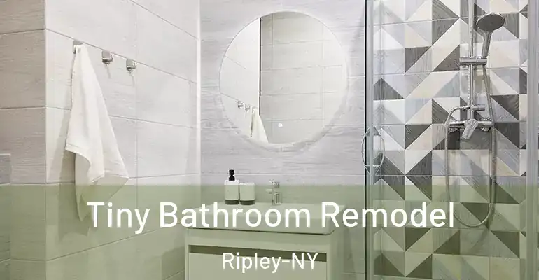 inner Bathroom imggen Tiny Bathroom Remodel Ripley-NY