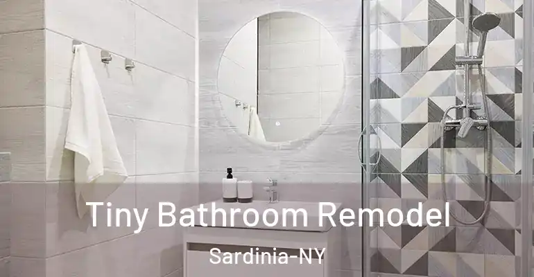 inner Bathroom imggen Tiny Bathroom Remodel Sardinia-NY