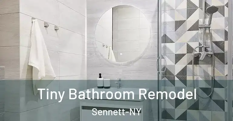 inner Bathroom imggen Tiny Bathroom Remodel Sennett-NY
