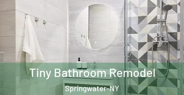 inner Bathroom imggen Tiny Bathroom Remodel Springwater-NY