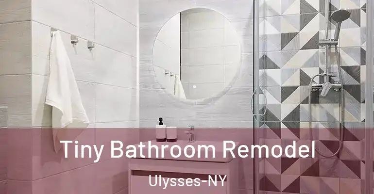 inner Bathroom imggen Tiny Bathroom Remodel Ulysses-NY