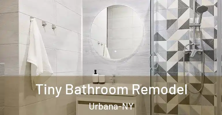 inner Bathroom imggen Tiny Bathroom Remodel Urbana-NY