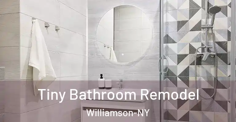 inner Bathroom imggen Tiny Bathroom Remodel Williamson-NY