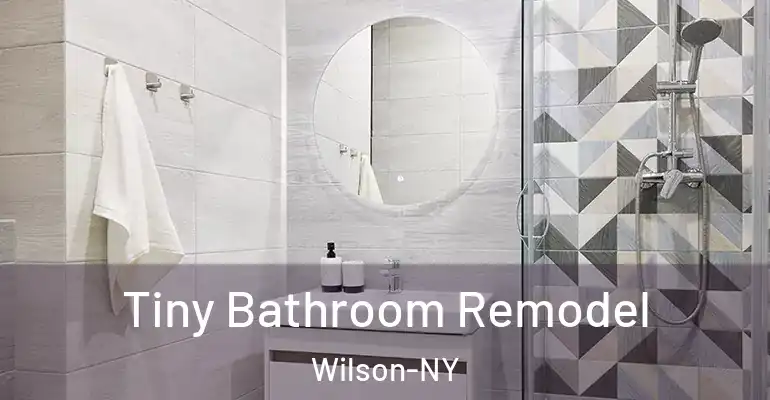 inner Bathroom imggen Tiny Bathroom Remodel Wilson-NY