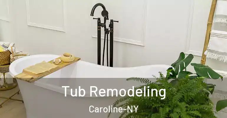 inner Bathroom imggen Tub Remodeling Caroline-NY