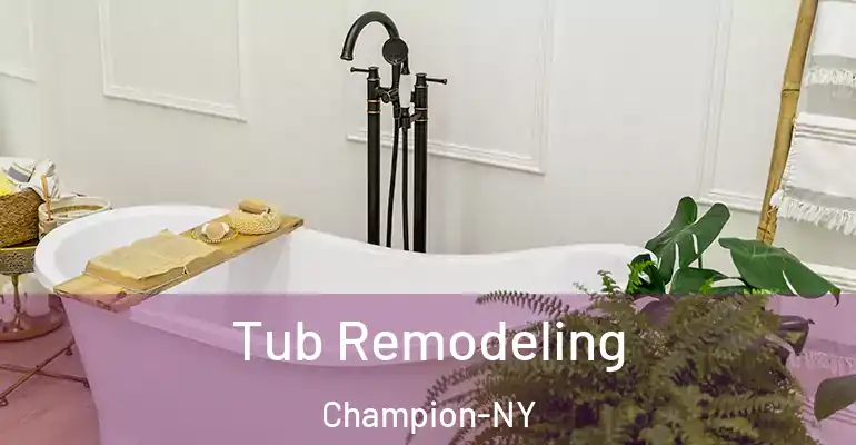 inner Bathroom imggen Tub Remodeling Champion-NY