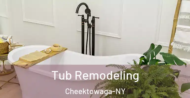inner Bathroom imggen Tub Remodeling Cheektowaga-NY