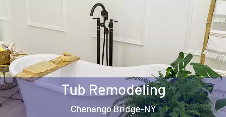 inner Bathroom imggen Tub Remodeling Chenango Bridge-NY