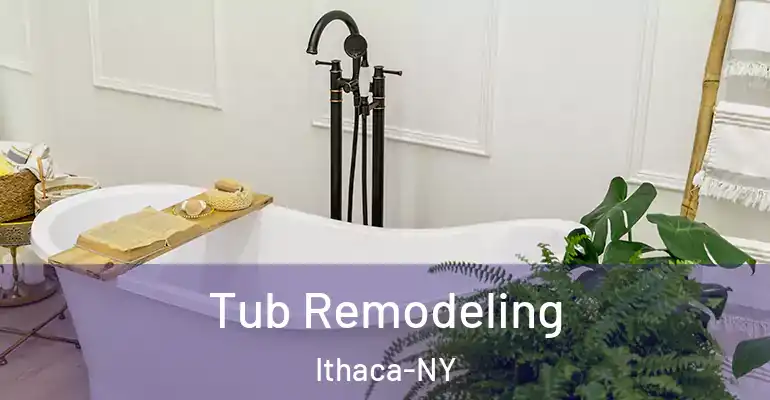 inner Bathroom imggen Tub Remodeling Ithaca-NY