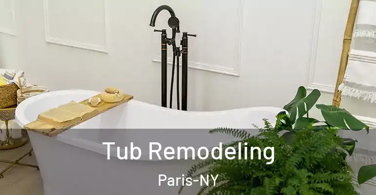 inner Bathroom imggen Tub Remodeling Paris-NY