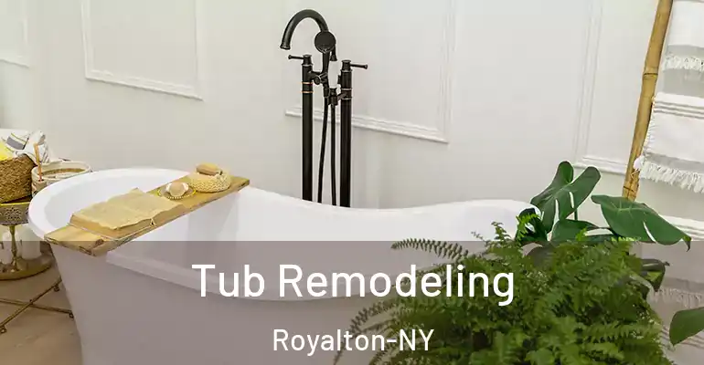 inner Bathroom imggen Tub Remodeling Royalton-NY