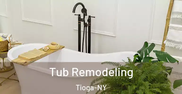 inner Bathroom imggen Tub Remodeling Tioga-NY