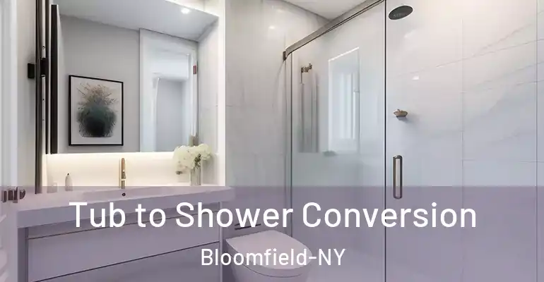 inner Bathroom imggen Tub to Shower Conversion Bloomfield-NY