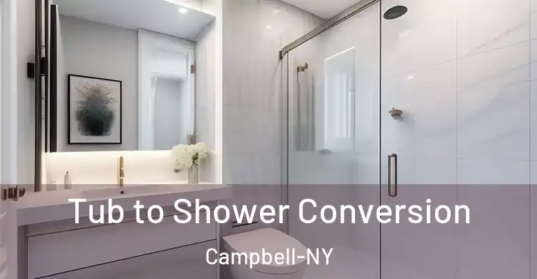 inner Bathroom imggen Tub to Shower Conversion Campbell-NY