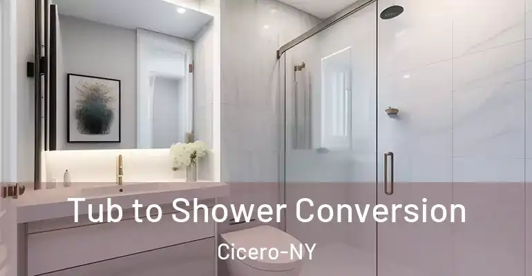 inner Bathroom imggen Tub to Shower Conversion Cicero-NY